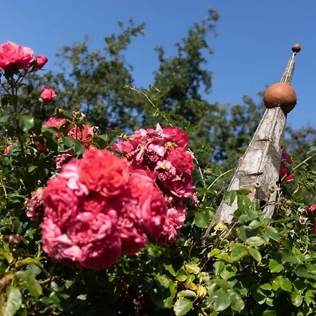 Reetdachhaus Meerzeit Reetdachhaus Meerzeit